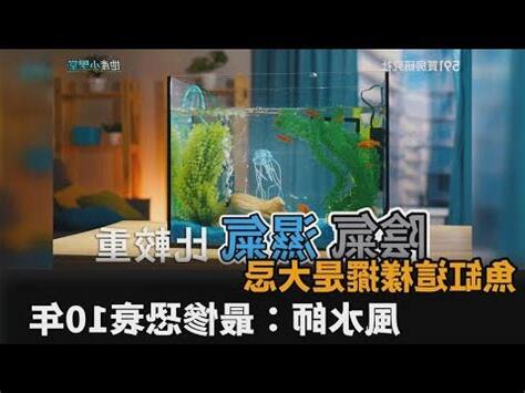 家裡養魚 風水